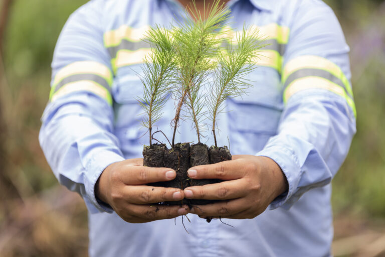 Trecsa - Reforestación 27-8-2020-55